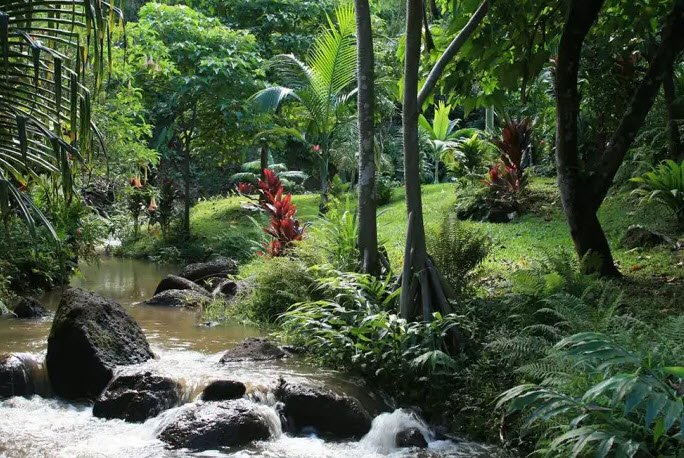 Princeville Botanical Gardens, United States